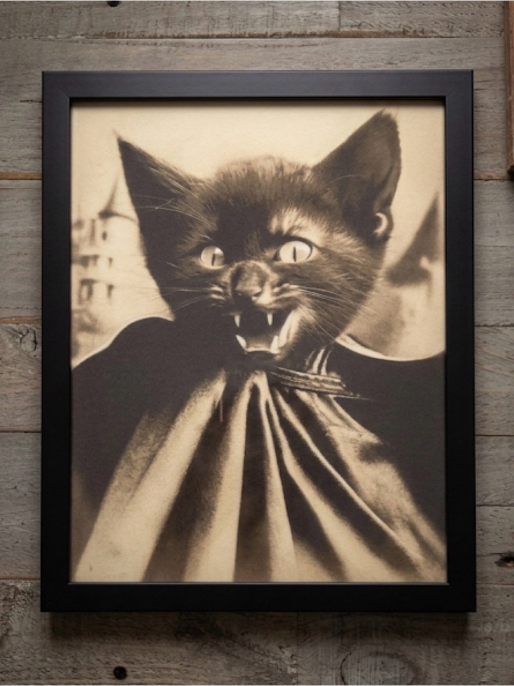 The Purr of Dracula (5) framed 8x10”